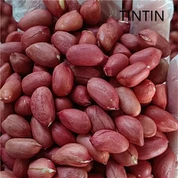 Granos de maní de piel roja chinos 100 % naturales, de buena calidad y precio bajo