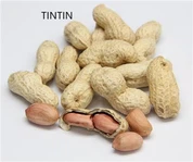 Maní chino tostado con cáscara, 100 % natural y a bajo precio