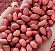 Proveedor de granos de maní de piel roja de China