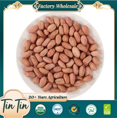 Granos de maní de nueva cosecha de alta calidad